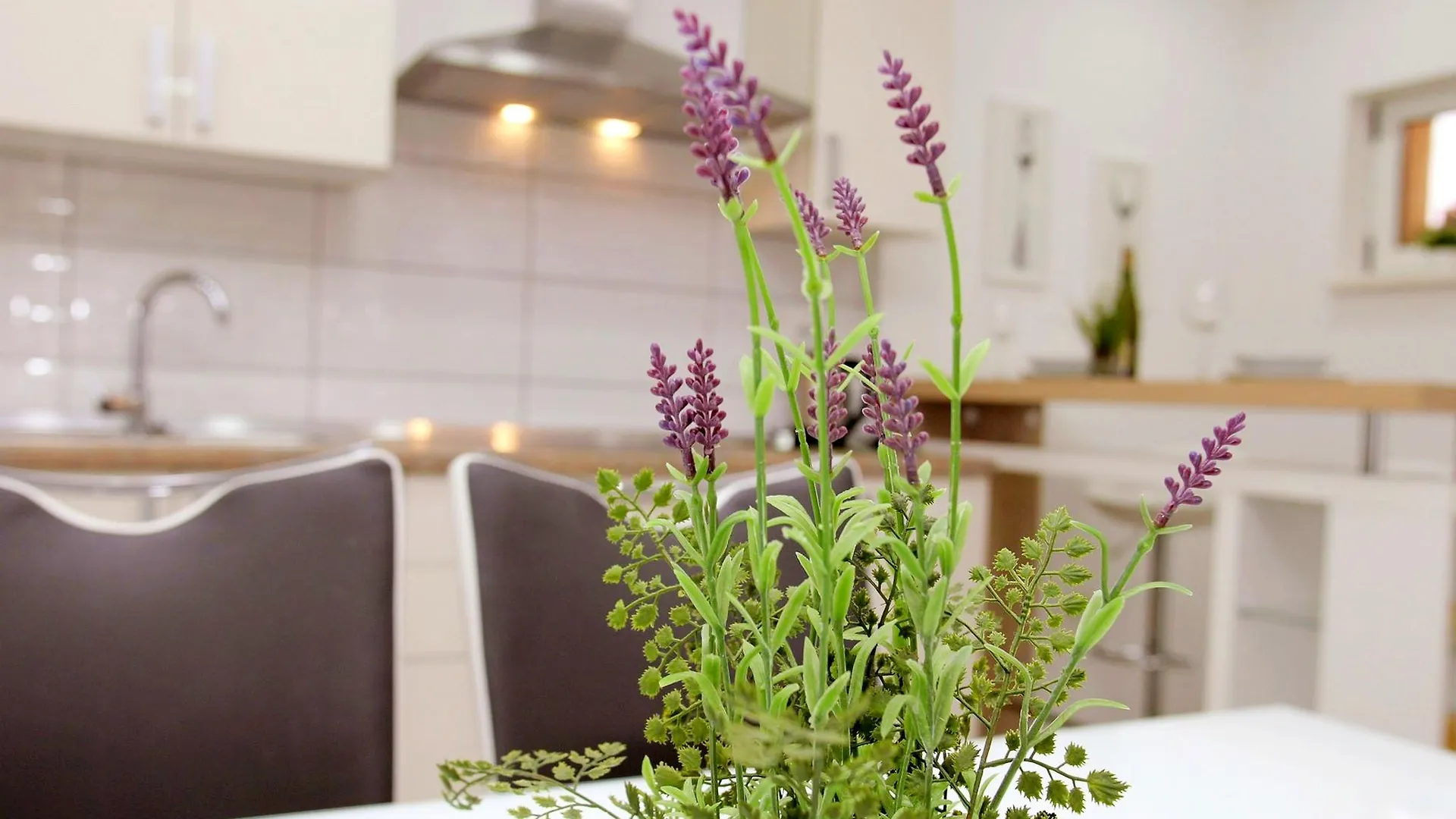 Apartments Jozo تروغير